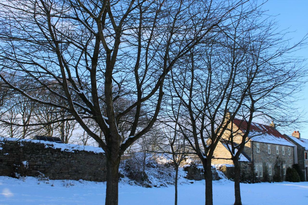 White House Cottages Durham Eksteriør bilde